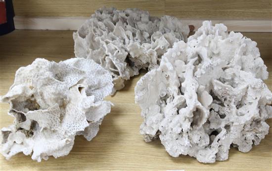 Three large pieces of coral